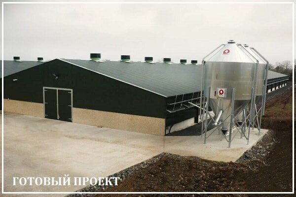 Этапы возведения птицефабрики от завода ВелесТент-хтб